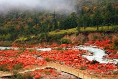 【川西環(huán)線】海螺溝、丹巴四姑娘山米亞羅