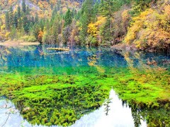 九寨溝黃龍草原四姑娘山五日游（無購物及自費）
